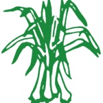 Heimatfreunde Wolfsanger